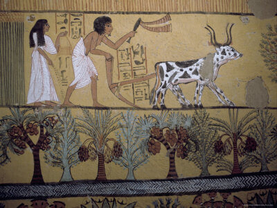 Ausflug zum Habu Tempel, dem Ramesseum und zur Deir El Medina ab Luxor